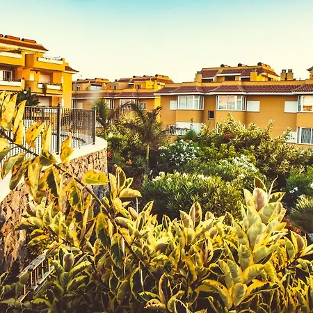 Cozy In Playa De La Arena Puerto de Santiago (Tenerife)